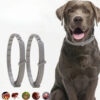 Floh- & Zeckenhalsband für Hunde
